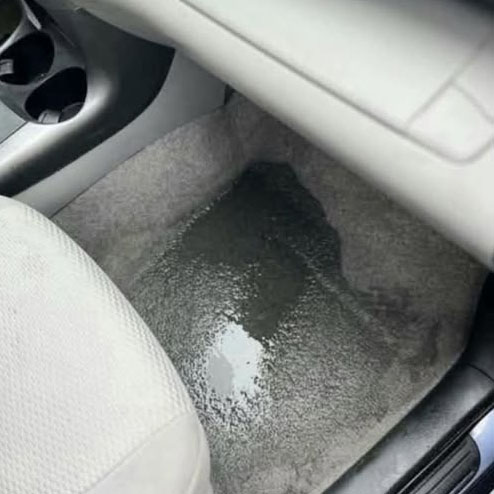 632047872 122237589560256634 2958422388101619691 n